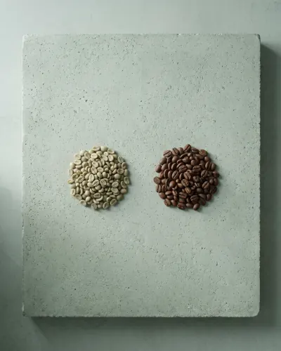 Grano verde y grano tostado del lote de 950 metros sobre hormigón claro (imagen generada con IA)